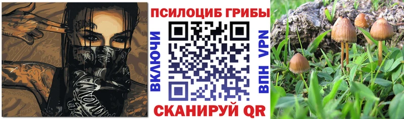 Галлюциногенные грибы прущие грибы Новохопёрск